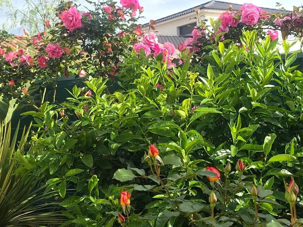 Bed & Breakfast Chambre D'Hotes Dans Villa Diane La Londe-les-Maures