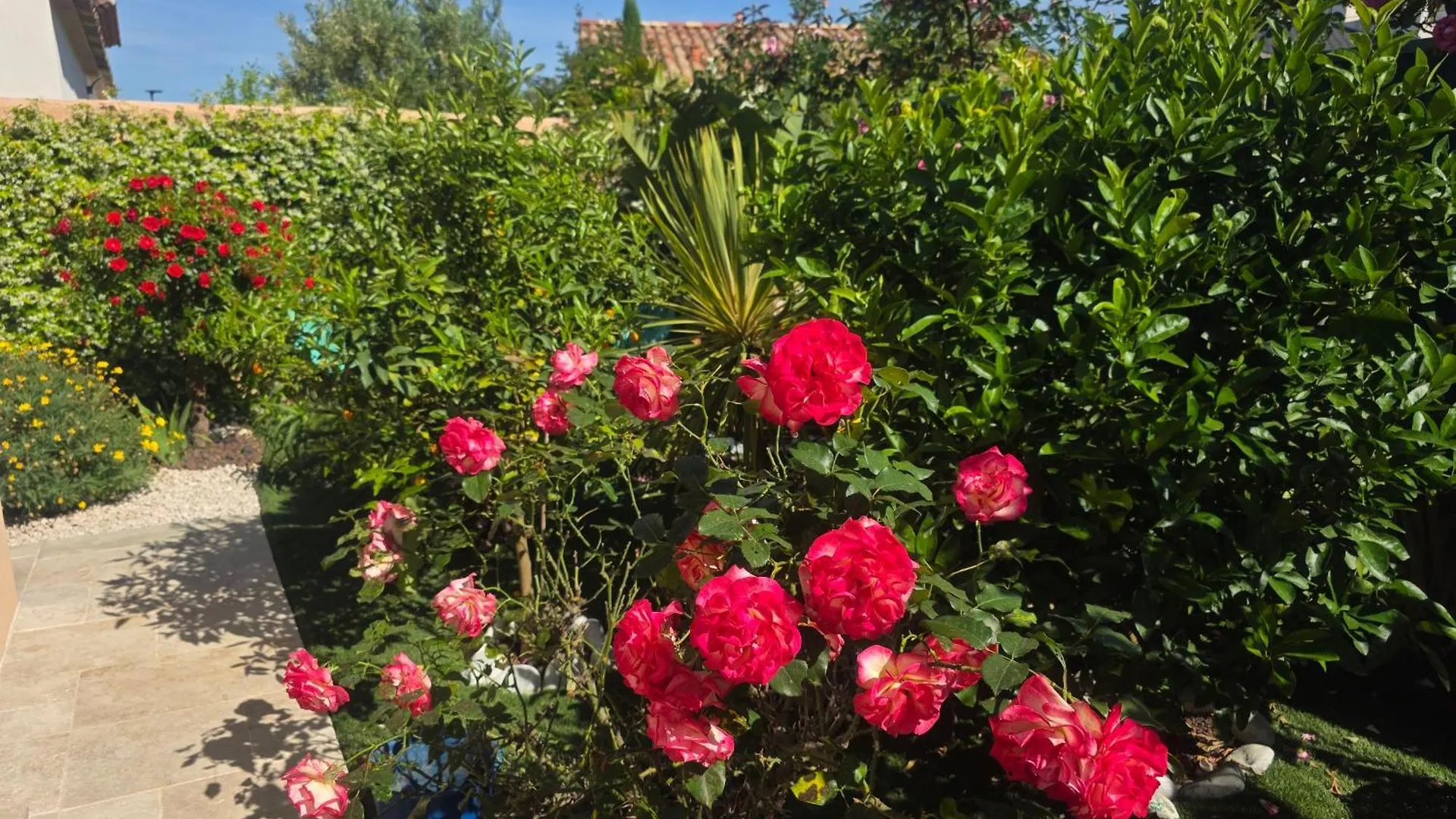 Chambre D'Hotes Dans Villa Diane La Londe-les-Maures Francie